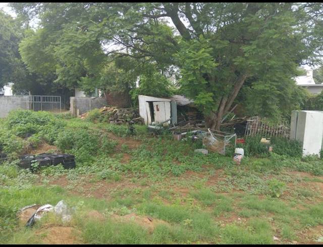 LAND PROPERTY TO RENT IN SUNNYSIDE